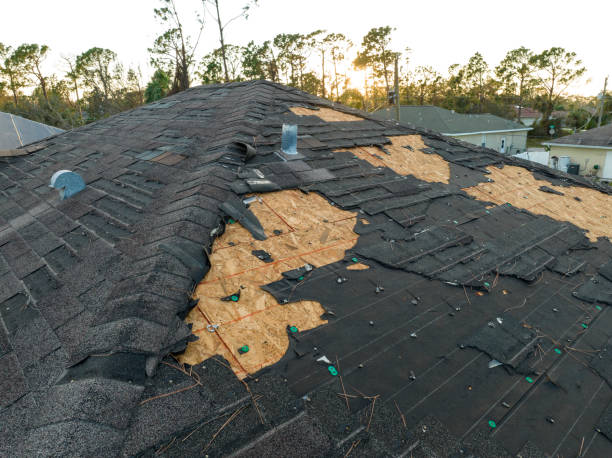 Best Asphalt Shingles Roofing  in Altoona, PA